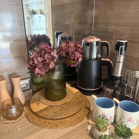 5 Min By Walk To Metrobus Apartment